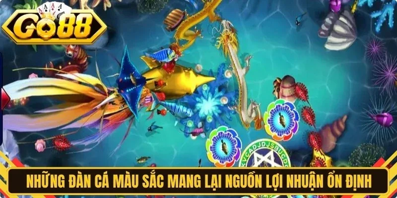 Những đàn cá màu sắc mang lại nguồn lợi nhuận ổn định