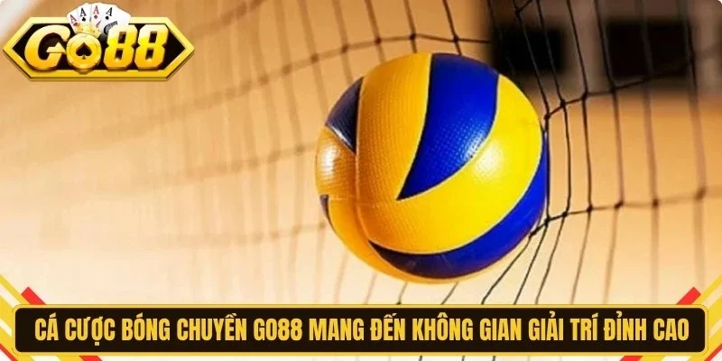 Cá cược bóng chuyền Go88 mang đến không gian giải trí đỉnh cao