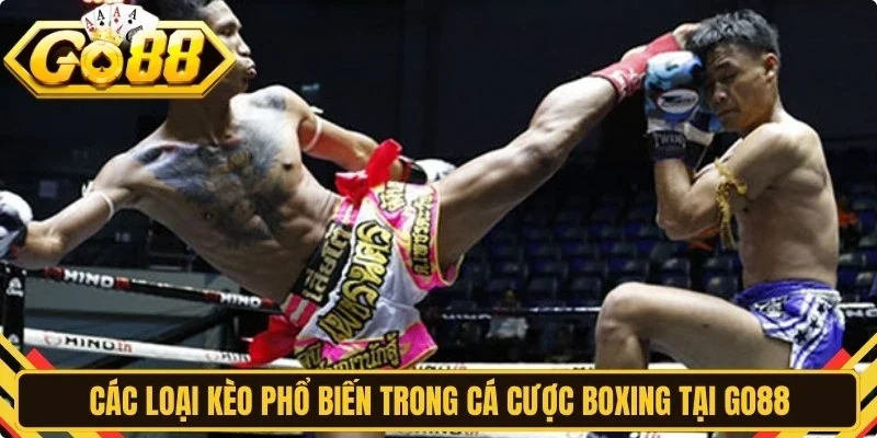 Các loại kèo phổ biến trong cá cược boxing tại Go88