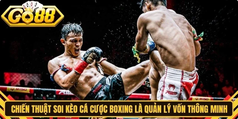 Chiến thuật soi kèo cá cược boxing từ chuyên gia là quản lý vốn thông minh