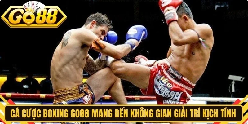 Cá cược boxing Go88 mang đến không gian giải trí kịch tính cho người chơi