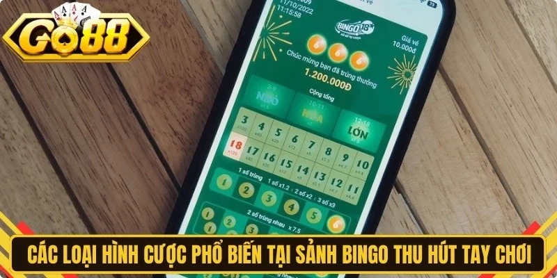 Các loại hình cược phổ biến tại sảnh Bingo thu hút các tay chơi